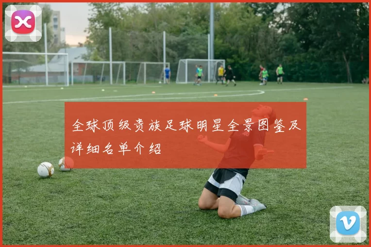 全球顶级贵族足球明星全景图鉴及详细名单介绍