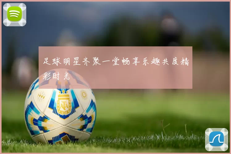 足球明星齐聚一堂畅享乐趣共度精彩时光