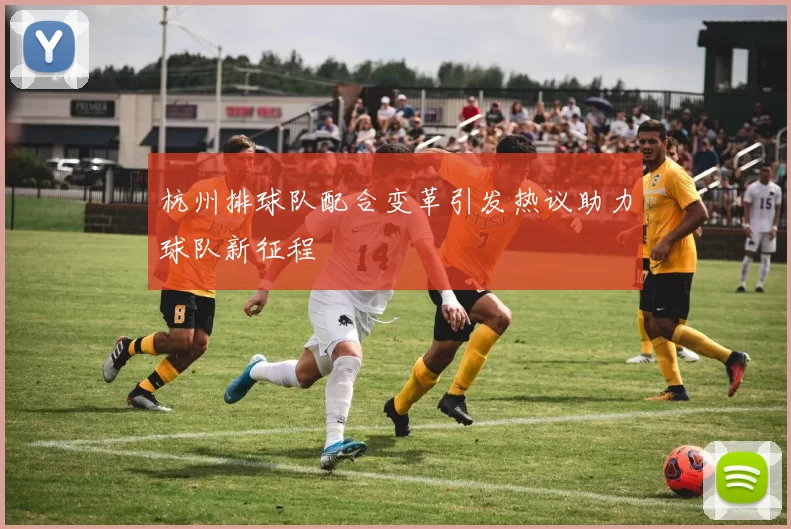杭州排球队配合变革引发热议助力球队新征程