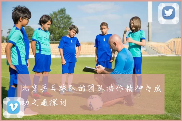 北京乒乓球队的团队协作精神与成功之道探讨