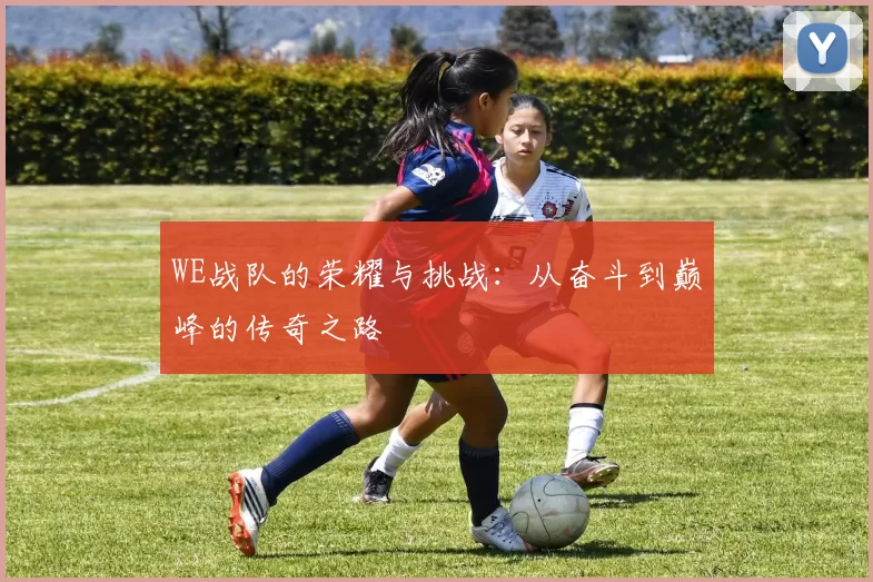 WE战队的荣耀与挑战：从奋斗到巅峰的传奇之路