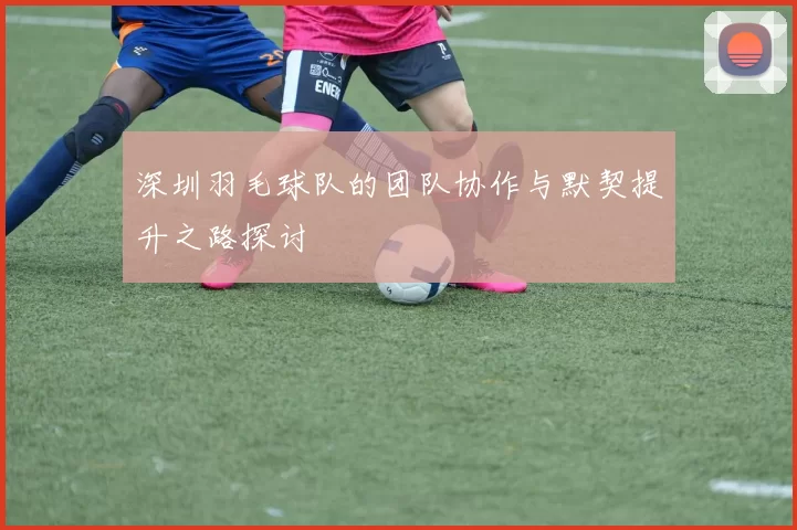 深圳羽毛球队的团队协作与默契提升之路探讨
