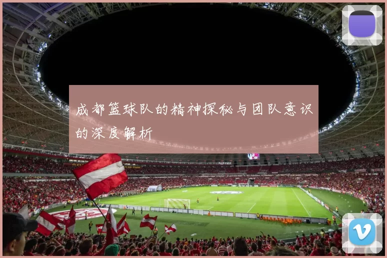 成都篮球队的精神探秘与团队意识的深度解析