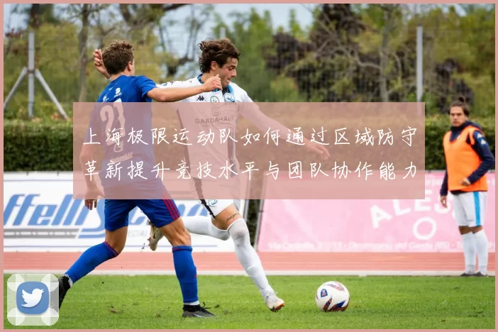 上海极限运动队如何通过区域防守革新提升竞技水平与团队协作能力