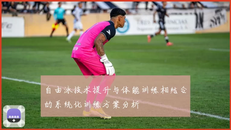 自由泳技术提升与体能训练相结合的系统化训练方案分析