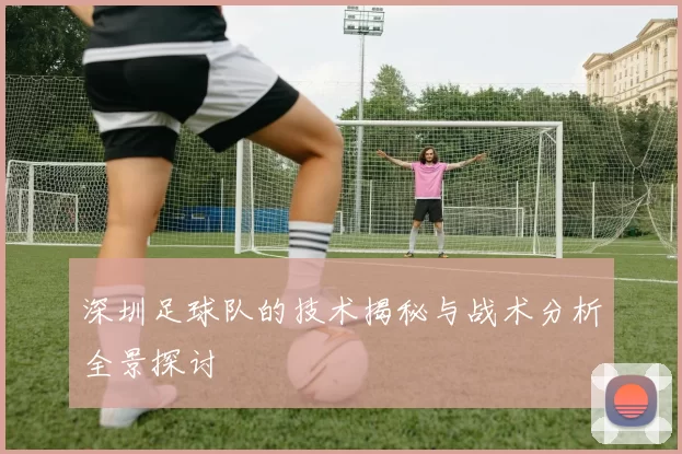 深圳足球队的技术揭秘与战术分析全景探讨