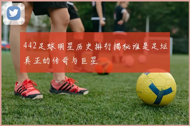 442足球明星历史排行揭秘谁是足坛真正的传奇与巨星
