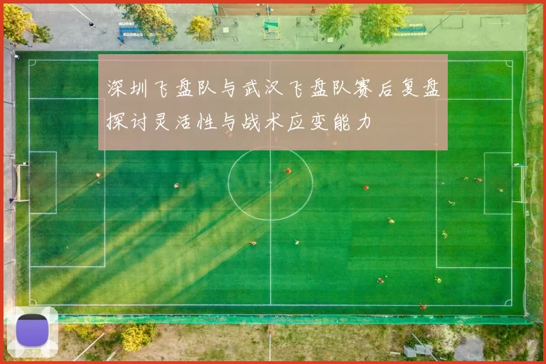 深圳飞盘队与武汉飞盘队赛后复盘探讨灵活性与战术应变能力