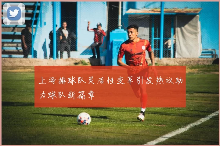 上海排球队灵活性变革引发热议助力球队新篇章