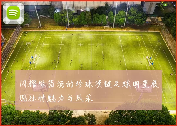 闪耀绿茵场的珍珠项链足球明星展现独特魅力与风采
