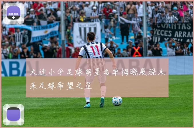 大连小学足球明星名单揭晓展现未来足球希望之星