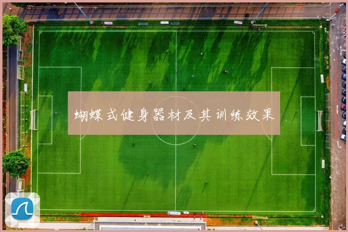 蝴蝶式健身器材及其训练效果