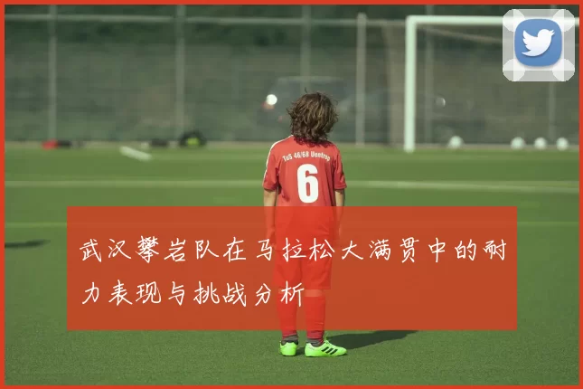 武汉攀岩队在马拉松大满贯中的耐力表现与挑战分析