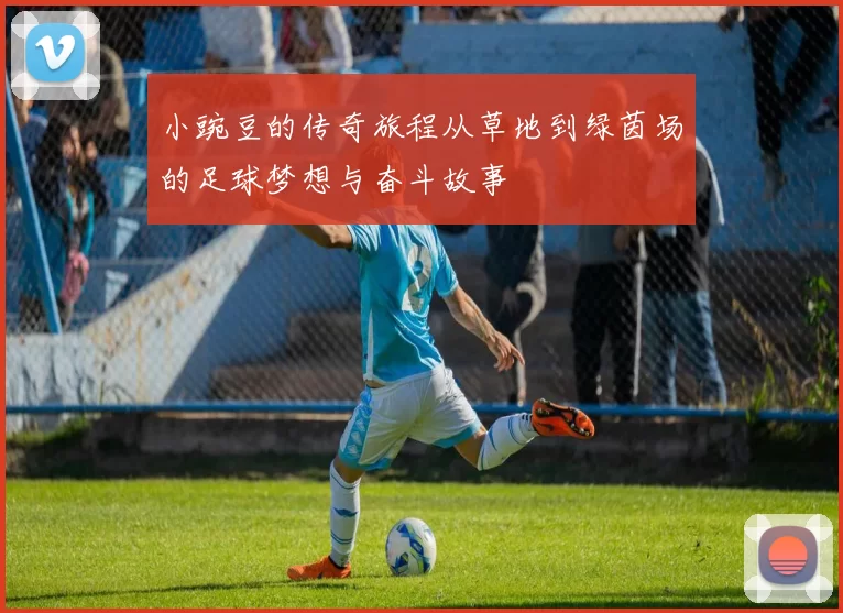 小豌豆的传奇旅程从草地到绿茵场的足球梦想与奋斗故事