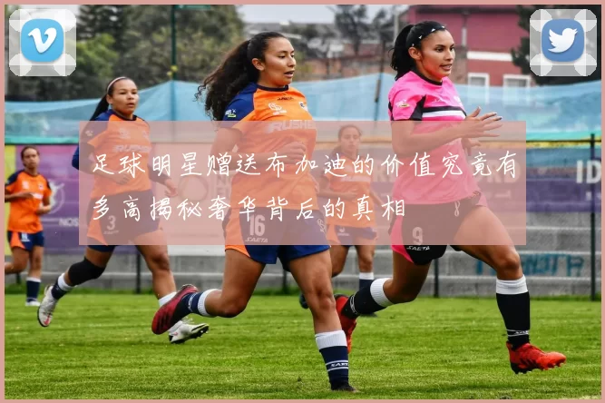 足球明星赠送布加迪的价值究竟有多高揭秘奢华背后的真相