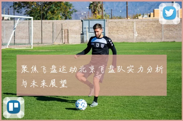 聚焦飞盘运动北京飞盘队实力分析与未来展望