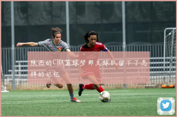 陕西的CBA篮球梦那支球队留下了怎样的记忆