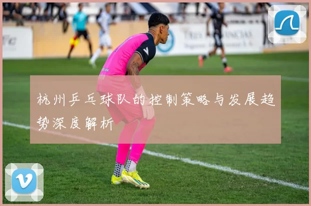 杭州乒乓球队的控制策略与发展趋势深度解析