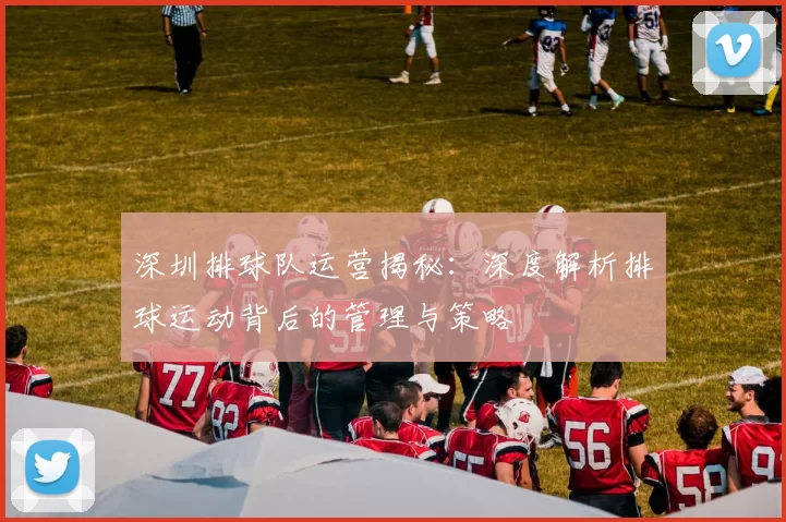 深圳排球队运营揭秘：深度解析排球运动背后的管理与策略