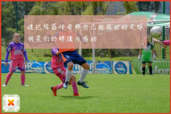 追忆绿茵传奇那些已经离世的足球明星们的辉煌与感动