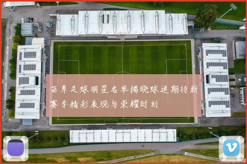 苗阜足球明星名单揭晓球迷期待新赛季精彩表现与荣耀时刻
