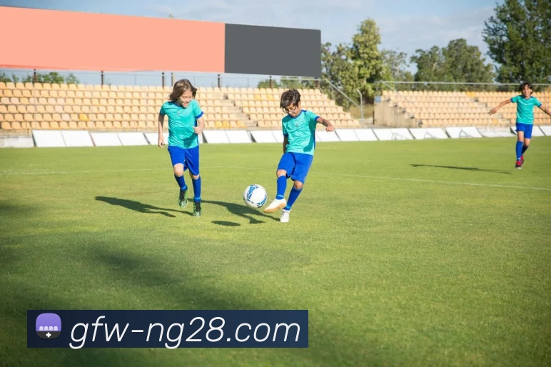 28圈平台生态图